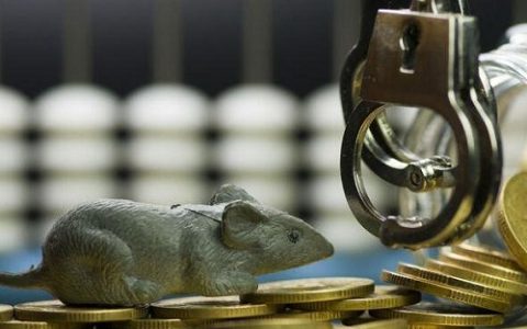 直播期货怎么挣钱的